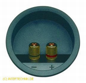 IT T80/MS/AU/IT, Terminal, vergoldete Konnektoren, schwarz