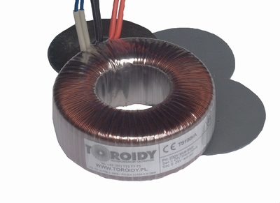 TOROIDY TTS0100 Ringkern Transformator, 100VA