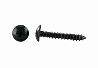 MONACOR MZF-4025, Recessed head wood screws, 100pc