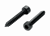 MONACOR MZF-8616, Hexagon socket wood screws, 16pc